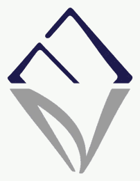Nebras Business Holding logo